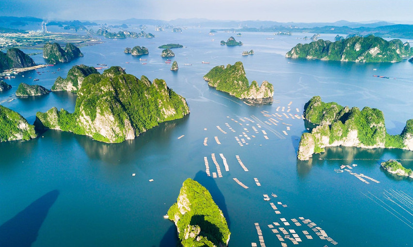 Công ty dịch vụ bảo vệ chuyên nghiệp tại Quảng Ninh